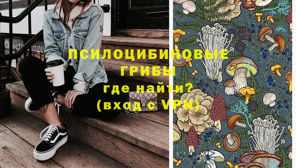 соль ск Балахна