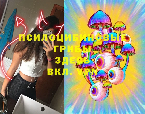 соль ск Балахна