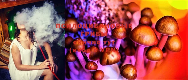 не бодяженный Беломорск