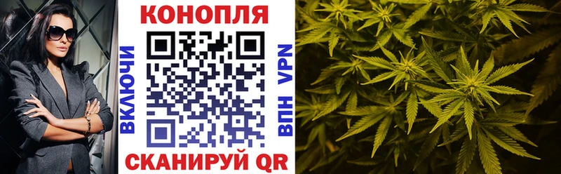 Бошки марихуана тримм  Городовиковск 